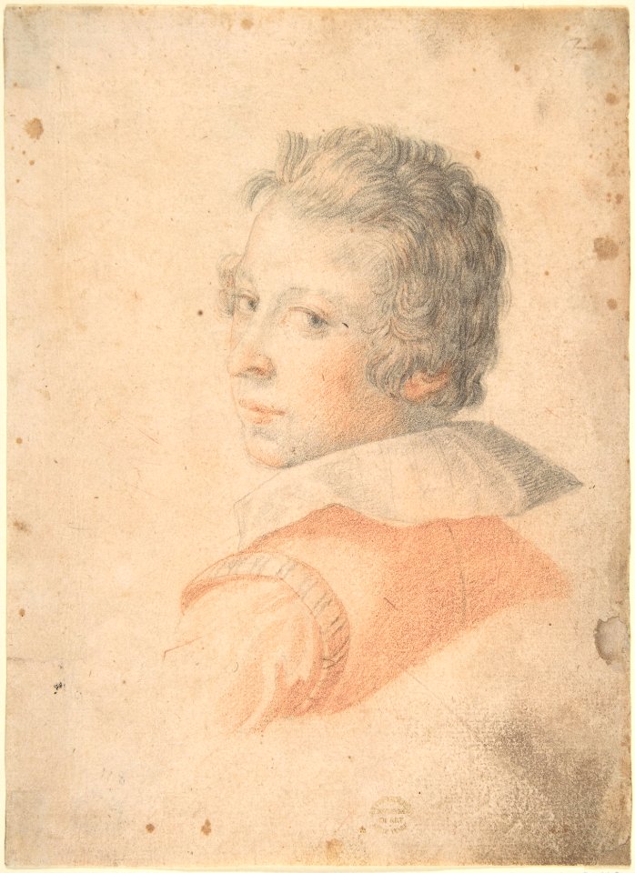 Portrait of a Young Man in Three-Quarter View Looking over His Left Shoulder MET DP802203