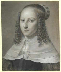 Portrait Of A Young Woman MET DP820056