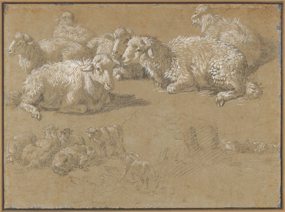 Reclining Sheep in a Landscape MET DP834479