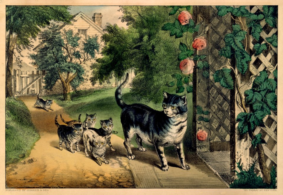 Pussy's Return MET DT257847