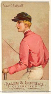 Prince D. Saltykoff, from the Racing Colors of the World series (N22b) for Allen & Ginter Cigarettes MET DP835250