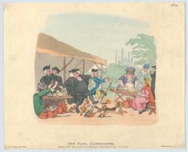 Pot Fair Cambridge MET DP879741