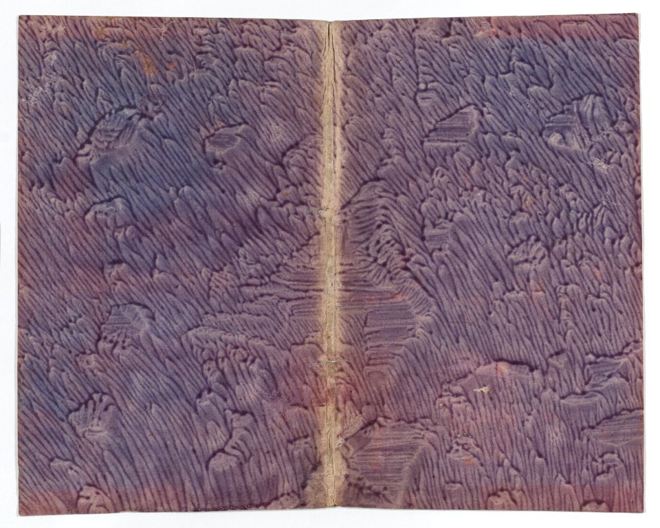 Purple paste paper book cover Met DP887155