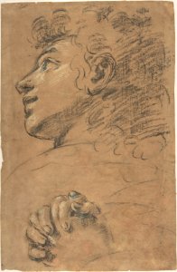 Profile Head of a Youth Looking to Upper Left, and Study of Clasped Hands MET DP809051