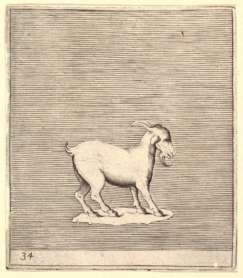 Ram MET DP819650