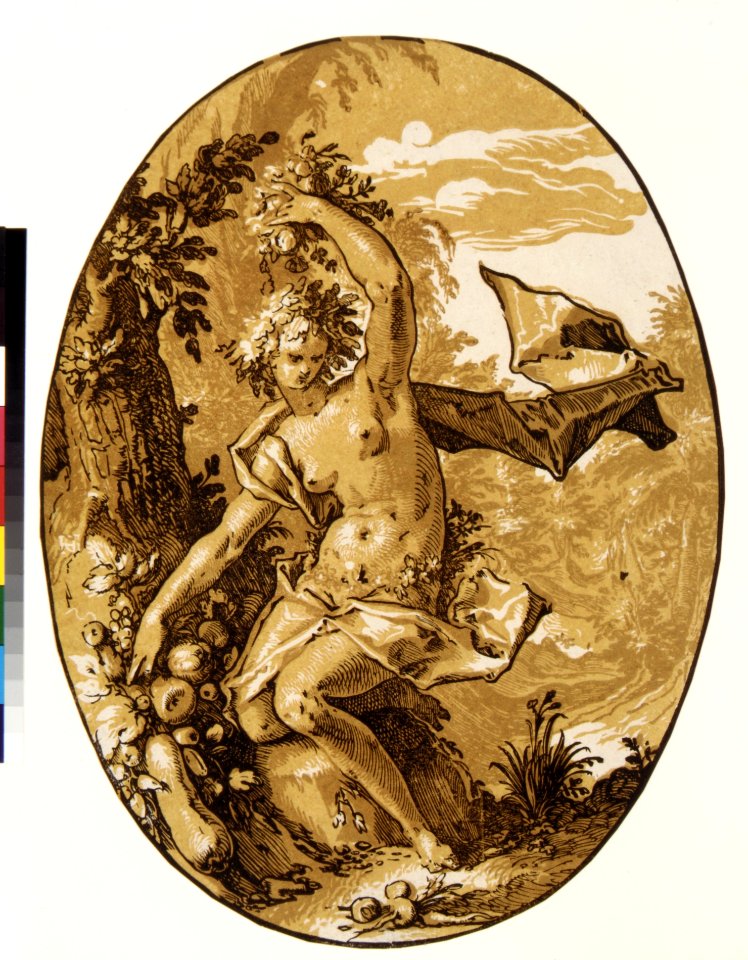 Proserpina MET DR482