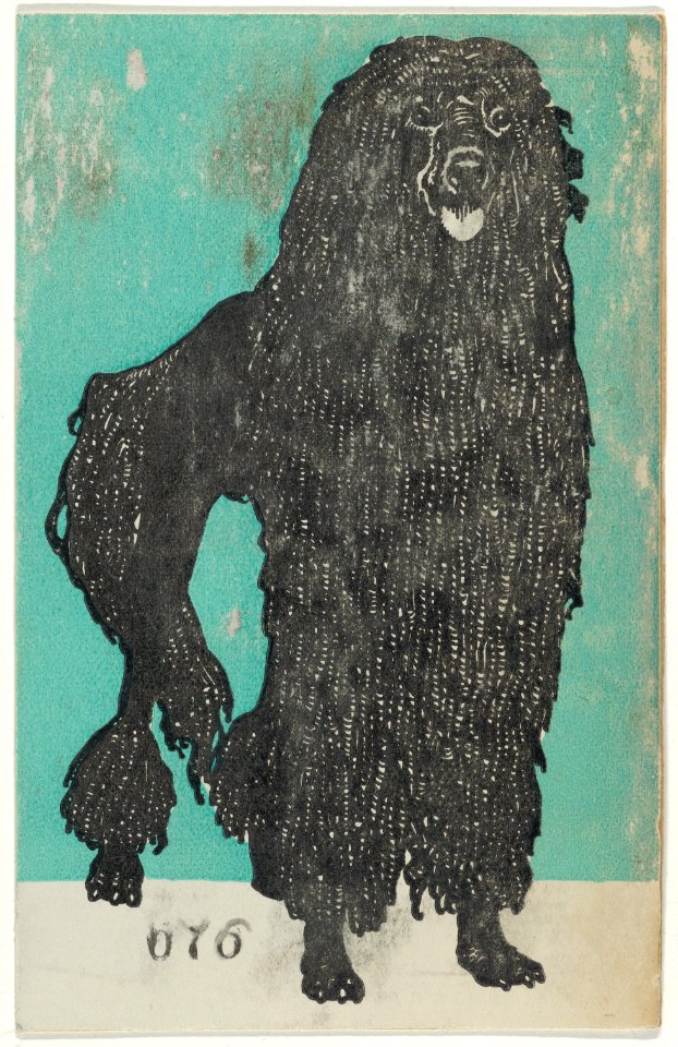 Poodle MET DP844717