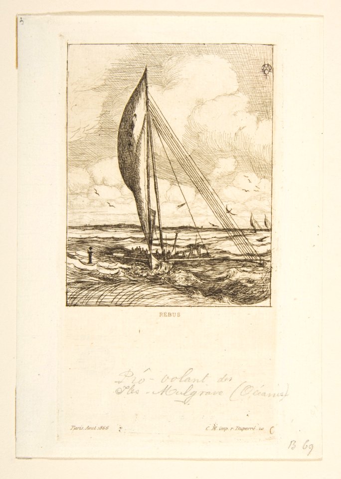 Pro-Volant des Iles Mulgrave MET DP813272