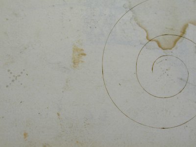 S. Maria in Trastevere, Ionic capital, side elevation (recto); Unidentified, Ionic capital volute, construction diagram (verso) MET sf68 769 14v dtl02