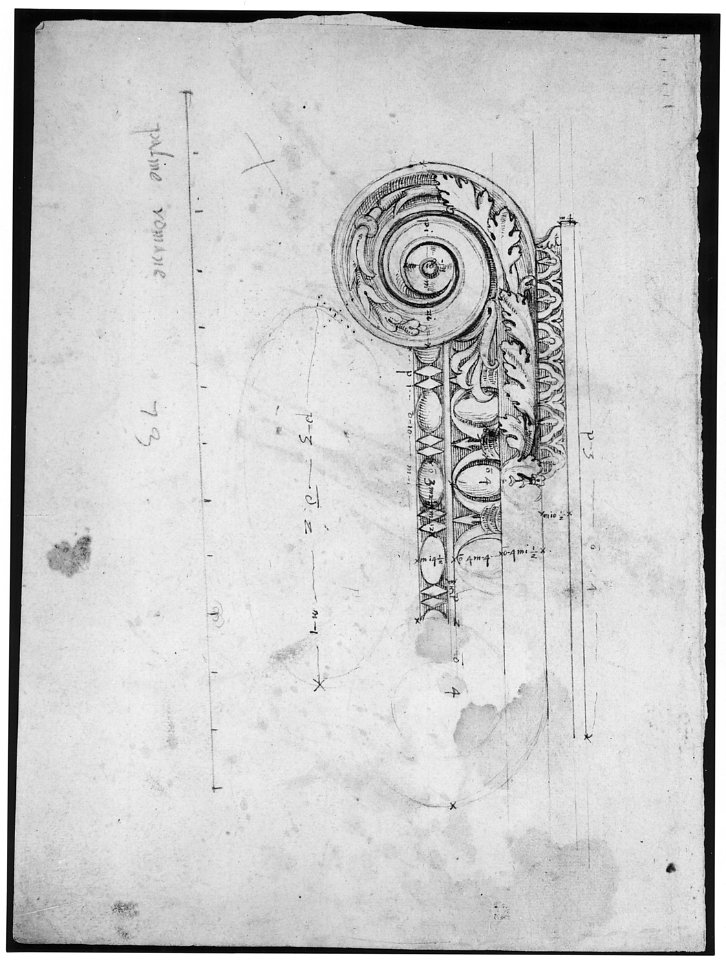 S. Maria in Trastevere, Ionic capital, volute, side elevation (recto) Unidentified, Ionic capital volute, construction diagram (verso) MET sf68 769 15r-MM43636