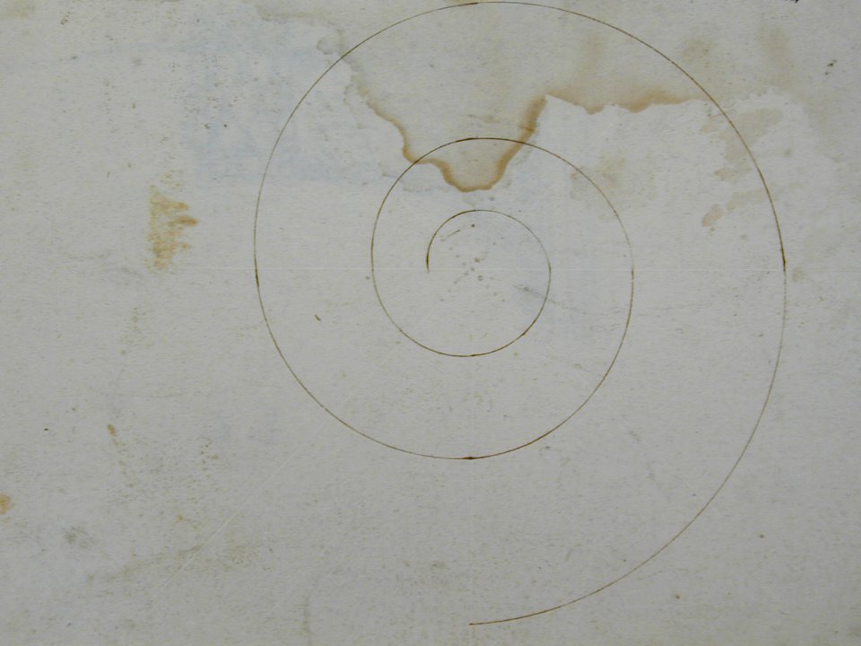 S. Maria in Trastevere, Ionic capital, side elevation (recto); Unidentified, Ionic capital volute, construction diagram (verso) MET sf68 769 14v dtl01