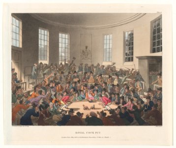 Royal Cockpit (Microcosm of London, plate 18) MET DP873993