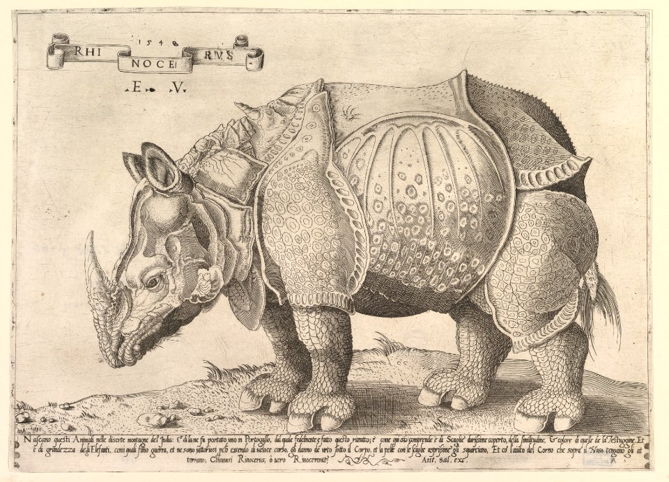 Rhinoceros MET DP820355