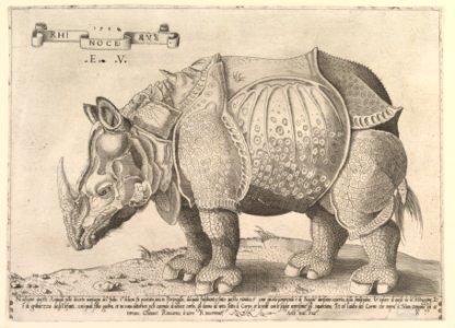 Rhinoceros MET DP820355