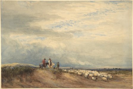 Riders with Sheep near an Estuary MET DP801055
