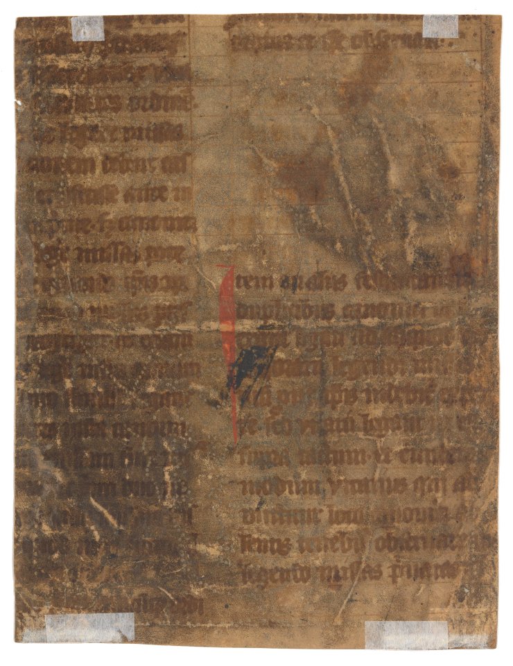 Saint Catherine MET DP223239