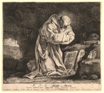 Saint Bruno MET DP827942