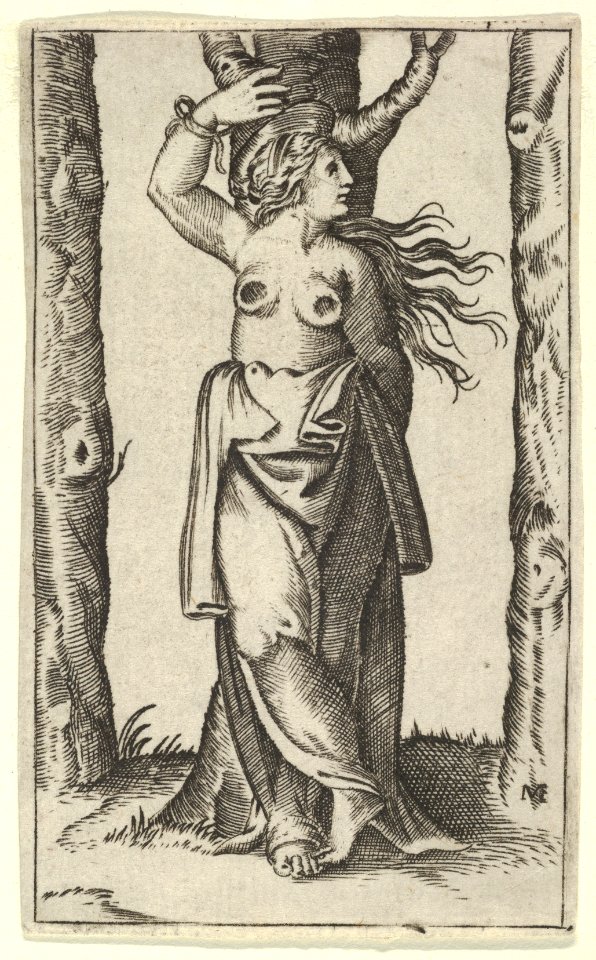 Saint Agatha tied to a tree, her breasts have been cut off, from the series 'Piccoli Santi' (Small Saints) MET DP853509