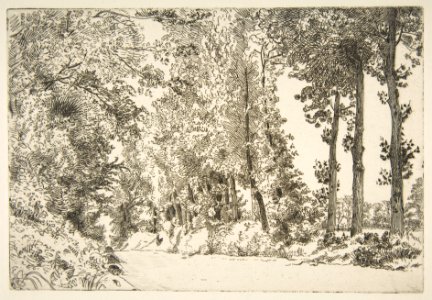 Rue des Bruyères, à Sèvres MET DP814137