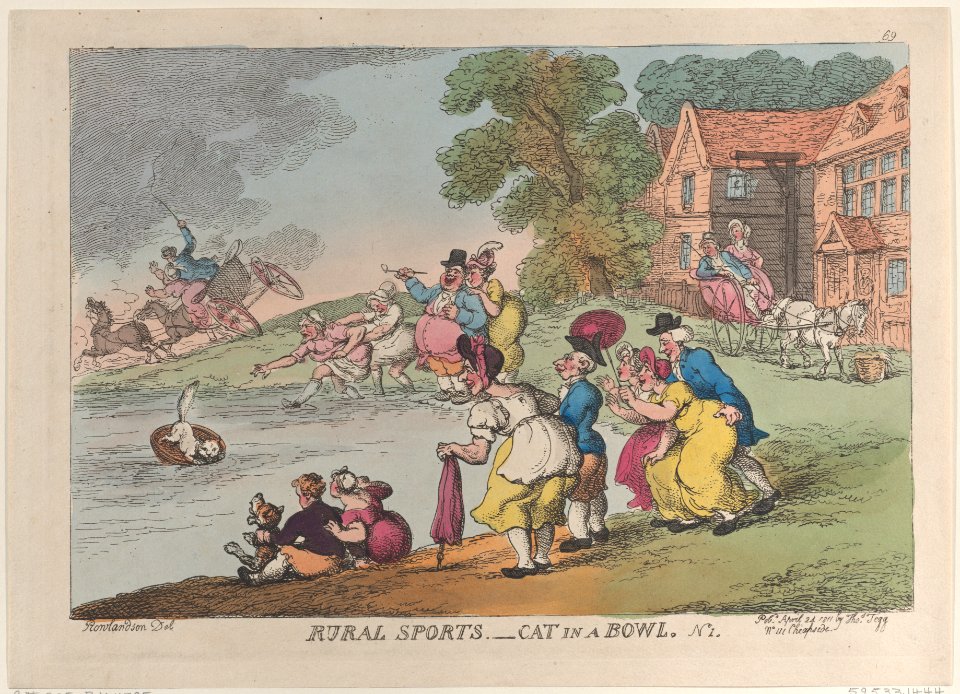 Rural Sports Cat in a Bowl MET DP883745