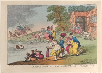 Rural Sports Cat in a Bowl MET DP883745