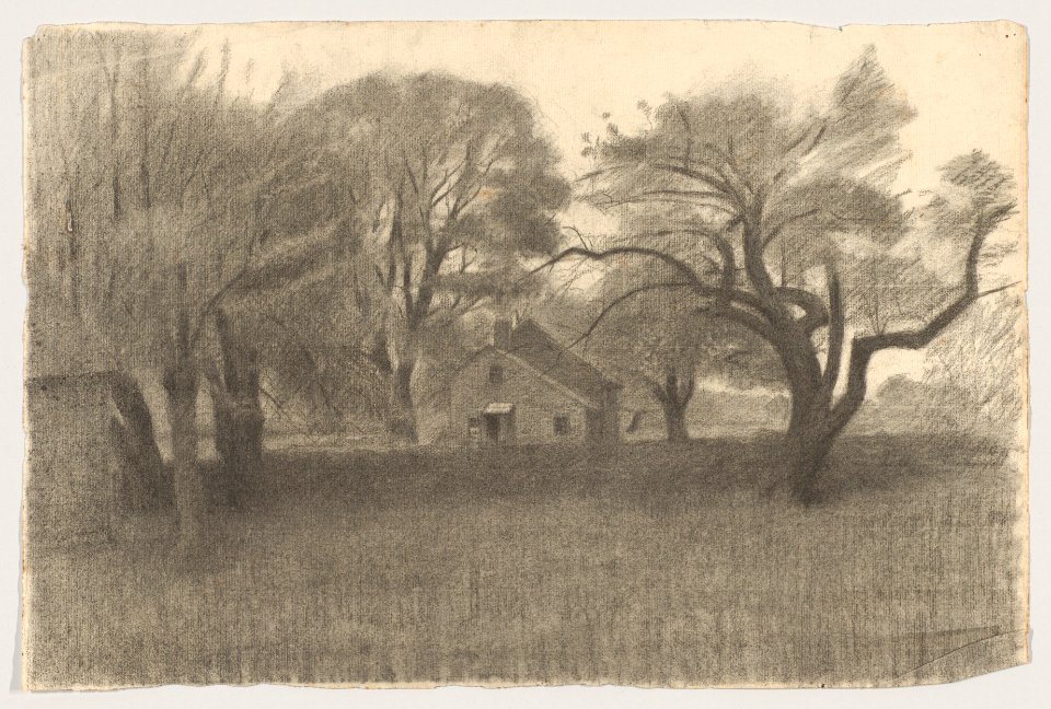 Rural Landscape MET DP856520