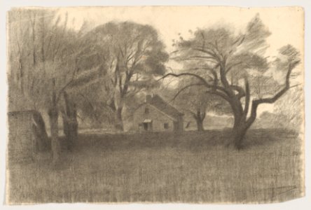Rural Landscape MET DP856520
