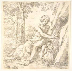 Saint John the Baptist in the desert MET DP815135