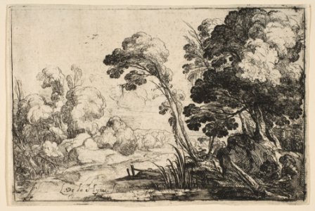 River in the Woods MET DP817106
