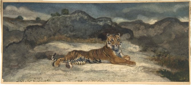 Royal Tiger MET DP805152