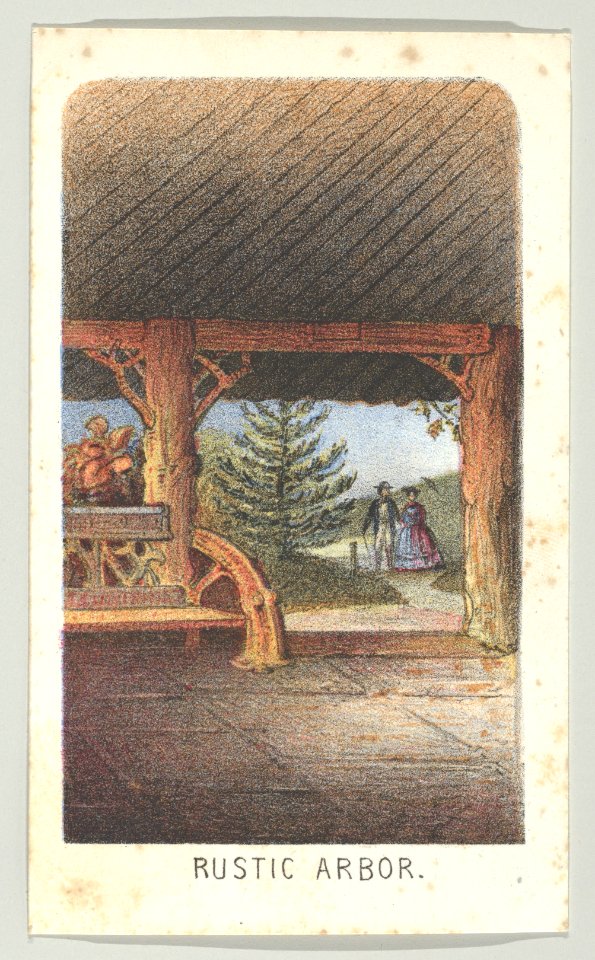 Rustic Arbor, from the series, Views in Central Park, New York, Part 3 MET DP849393
