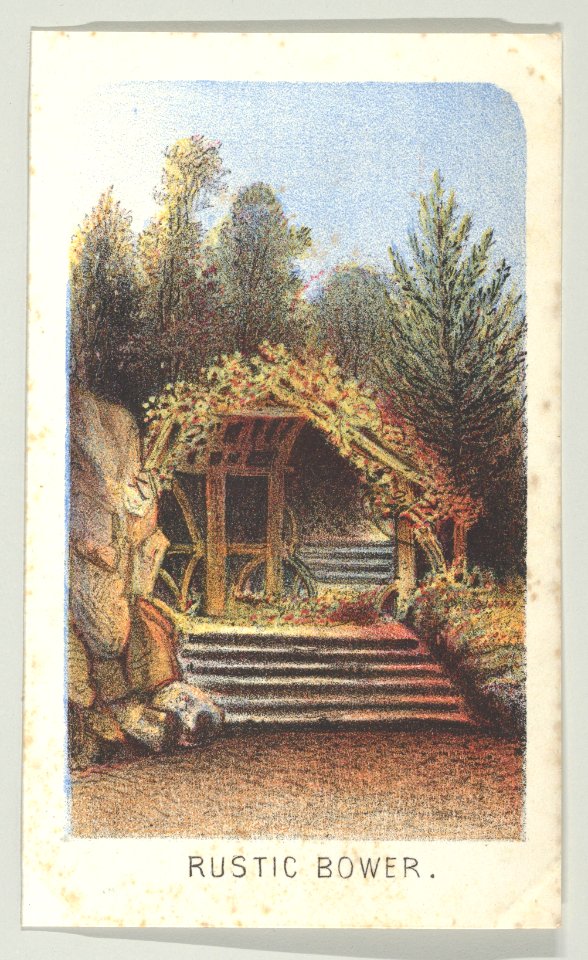 Rustic Bower, from the series, Views in Central Park, New York, Part 3 MET DP849399