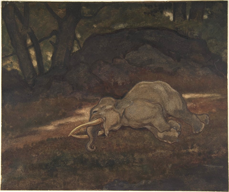 Sleeping Elephant MET DP805146