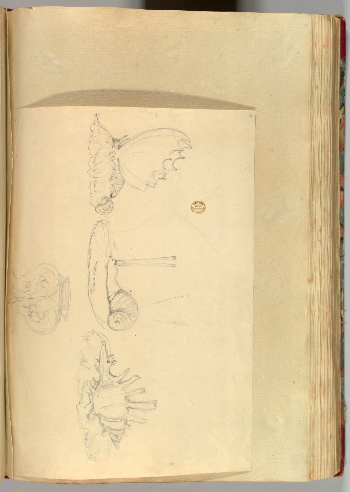 Sketches of Butterfly Pen-holder, a Shell Pen-holder and Snail Ring-holder, and a Vase MET DP828410