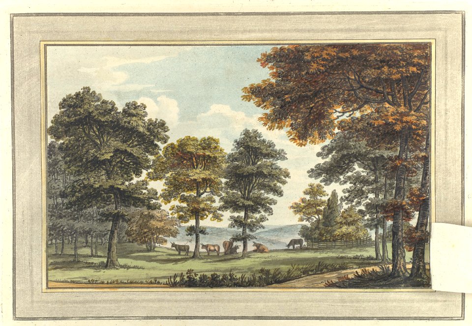 Sketches and Hints on Landscape Gardening MET DP109549