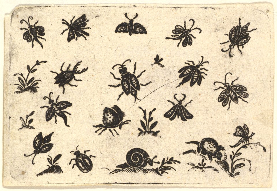 Small Motifs of Insects and Plants MET DP827186
