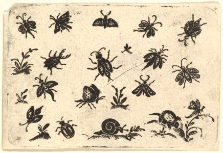 Small Motifs of Insects and Plants MET DP827186