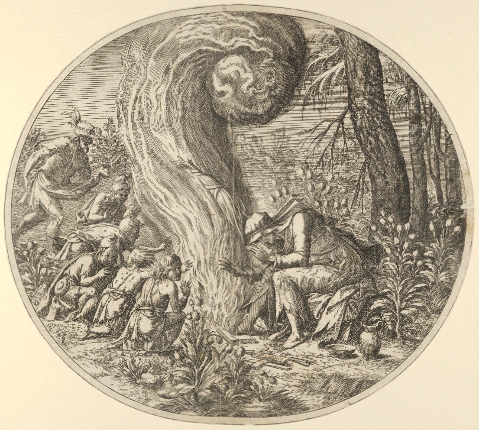 Sloth MET DP855023