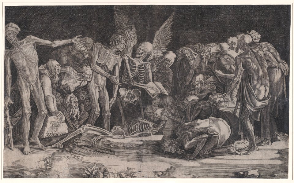 Skeletons Met DP888712