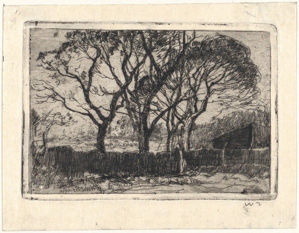 Small Landscape MET DP876316