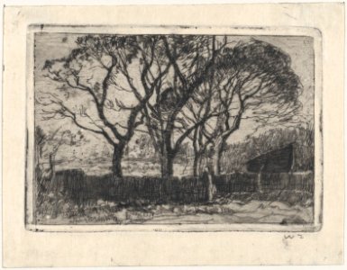 Small Landscape MET DP876316