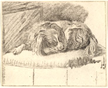 Sleeping Dog MET DP828335