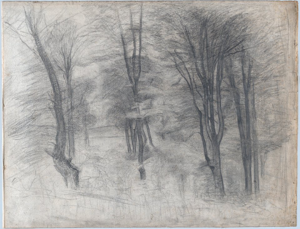 Slender Trees on a Hill MET DP875891