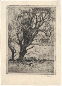Small Landscape MET DP876315