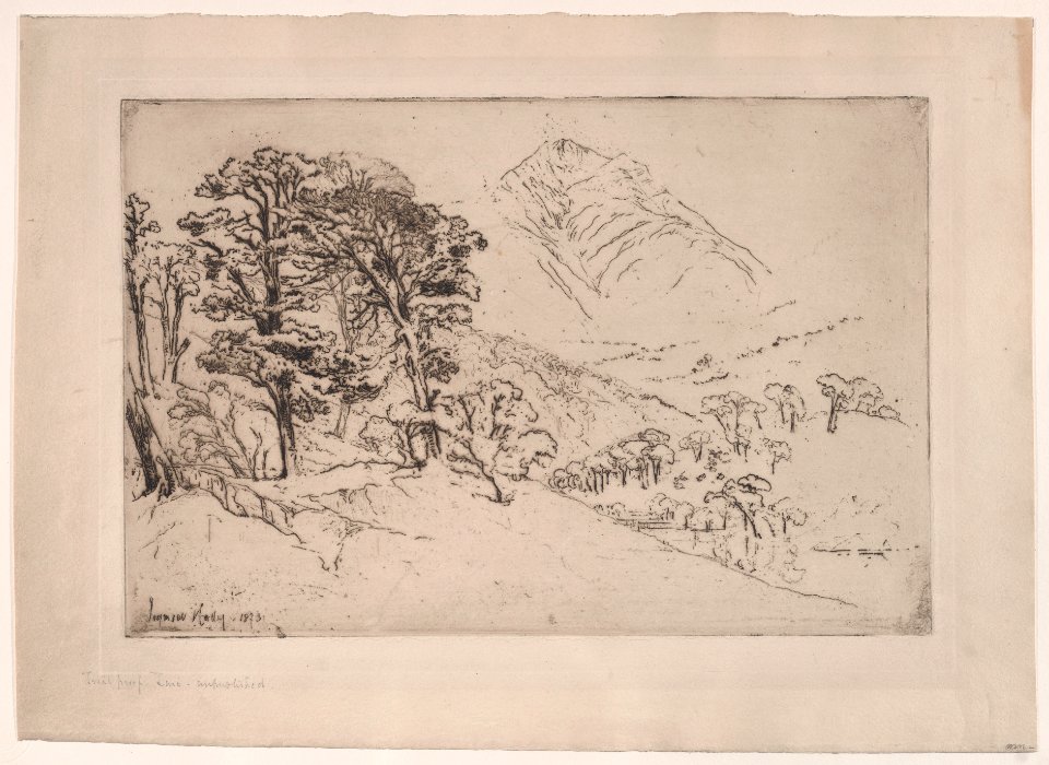 Scotch Firs, Inveroran Met DP889155