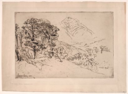 Scotch Firs, Inveroran Met DP889155