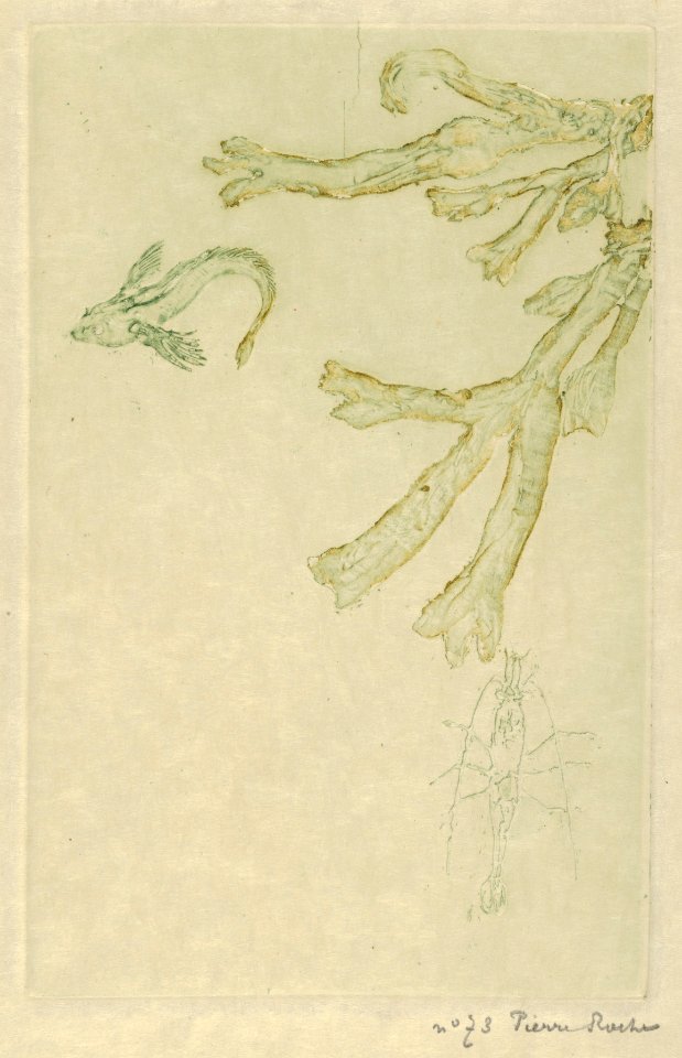 Sea Algae (Algues marines) MET DP838467