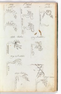 Scrapbook of Designs for Embroidered Waistcoats MET DP342529