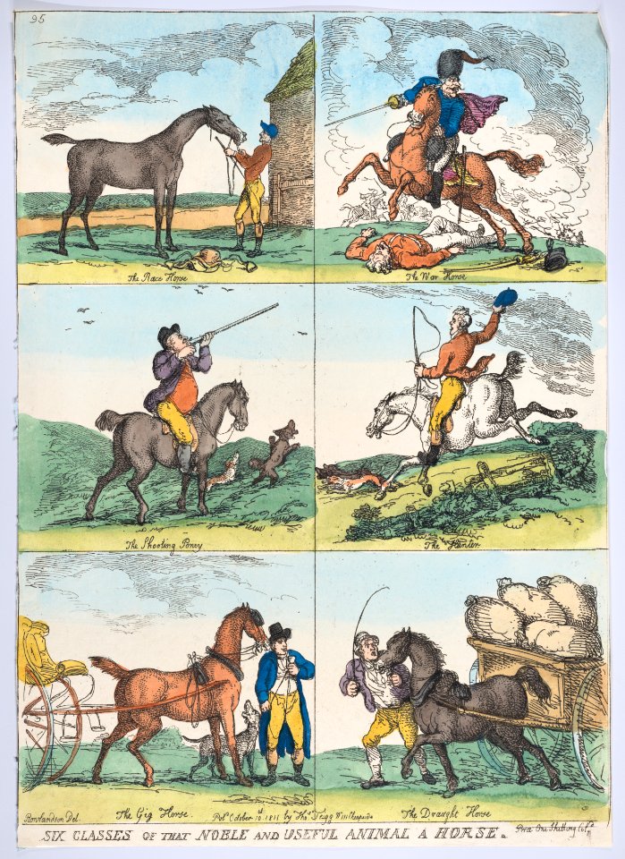 Six Classes of the Noble and Useful Animal a Horse MET DP881791
