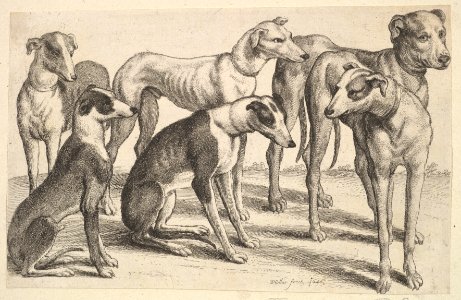 Six Hounds MET DP823985